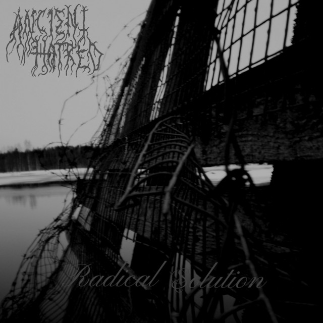 Radical Solution (Reissue)